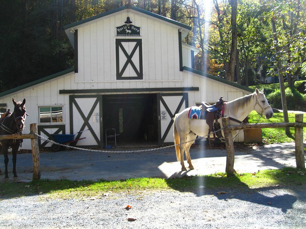 Valle Crucis Farm ภายนอก รูปภาพ