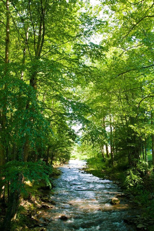 Valle Crucis Farm ภายนอก รูปภาพ